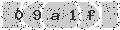verify code
