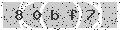 verify code