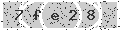 verify code