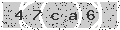 verify code