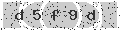 verify code