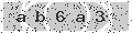 verify code