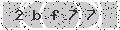 verify code