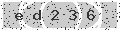 verify code