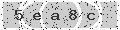 verify code