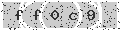 verify code