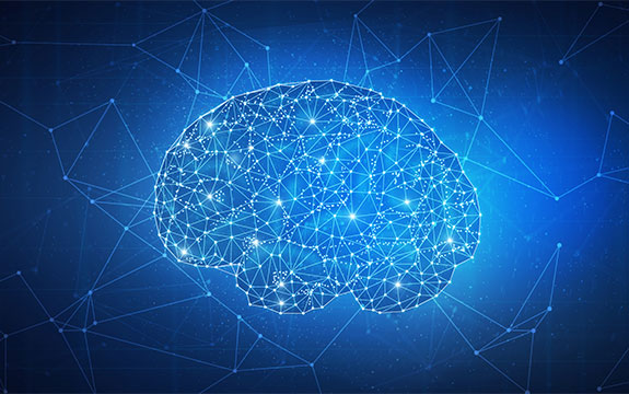 BLIP 2 (Corporate Performance)